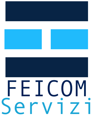 logo feicom servizi